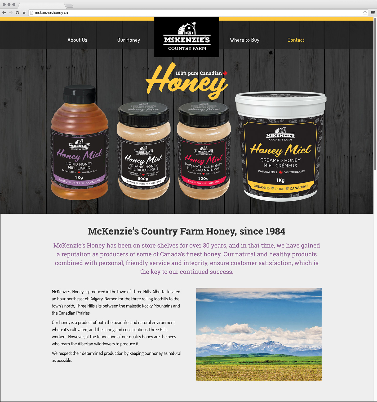 mckenzies-website-with-browser-chrome-medium