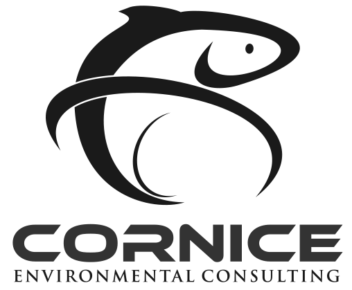 Cornice Environmental Consulting